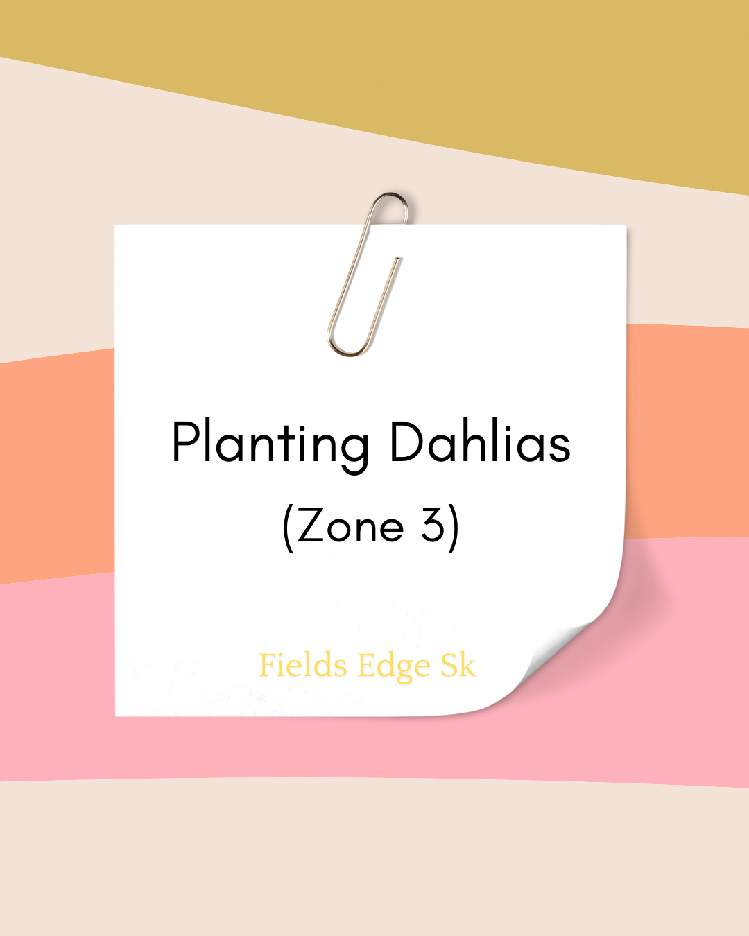 Planting Dahlia Tubers - Zone 3