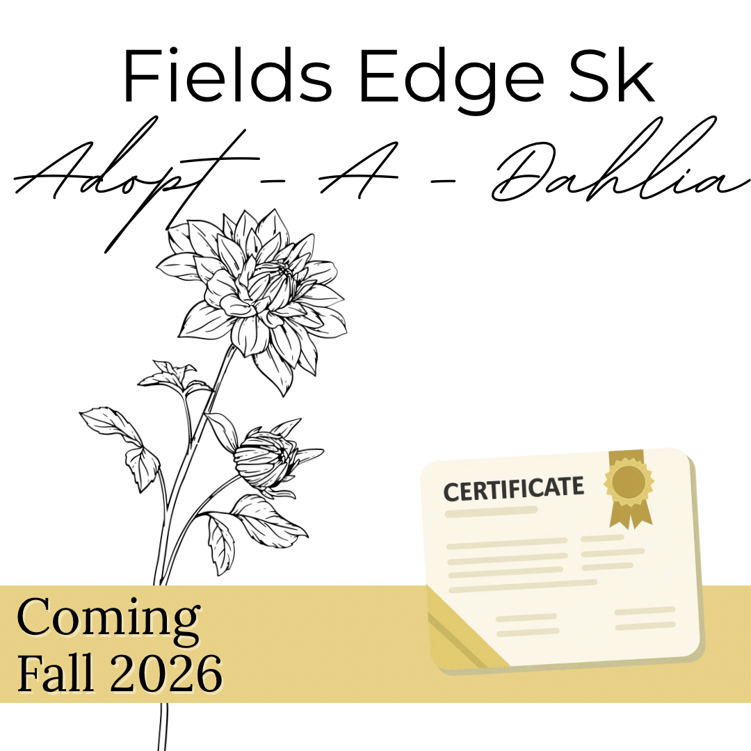 Adopt - A - Dahlia