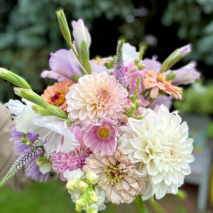 Premium Bunch Of Joy