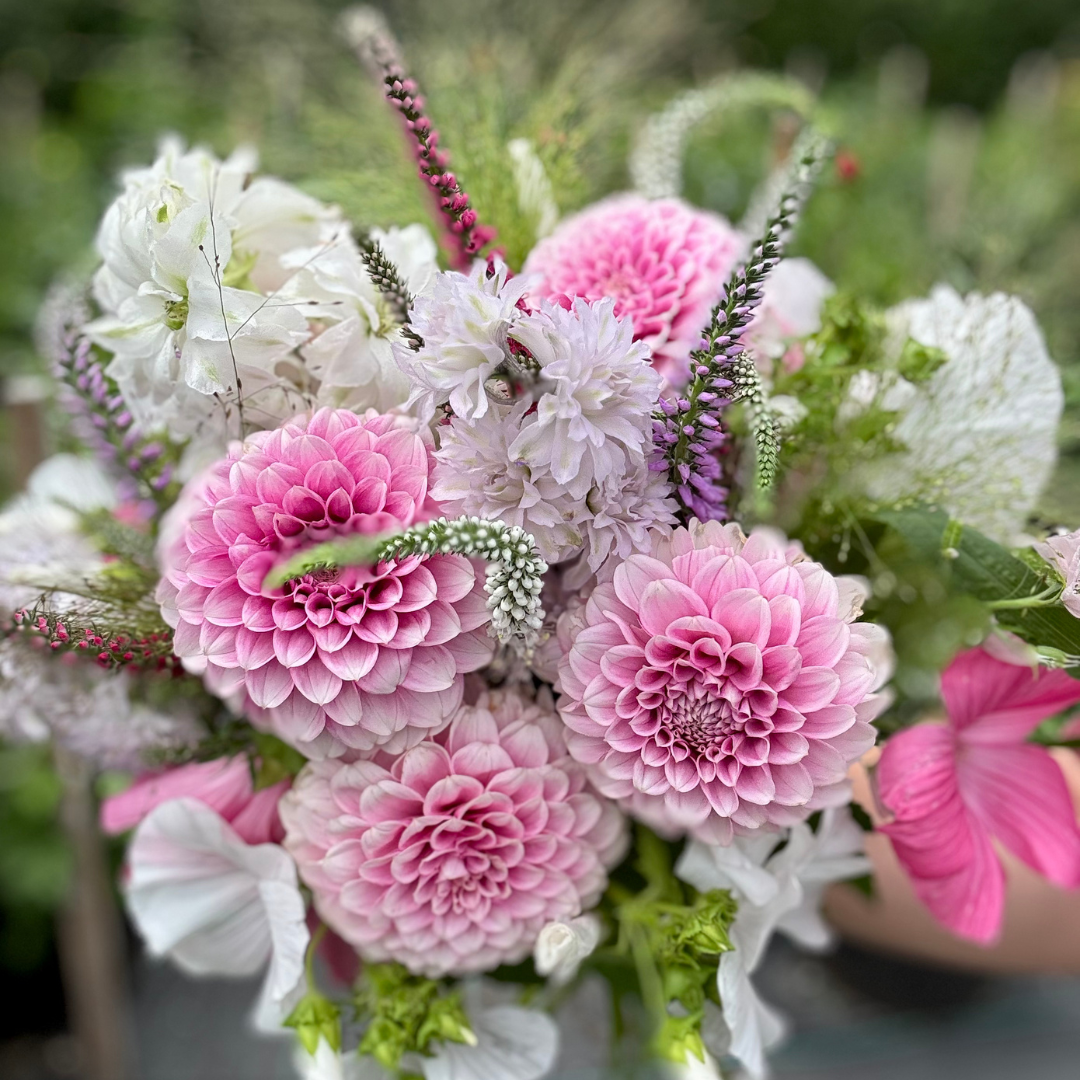 Premium Bunch Of Joy