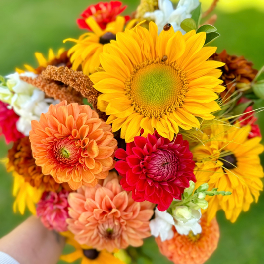 Premium Bunch Of Joy