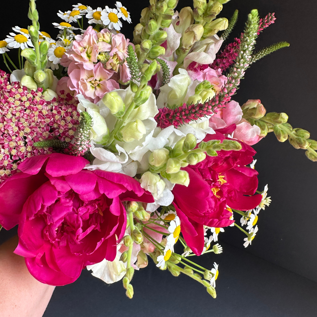 Premium Bunch Of Joy