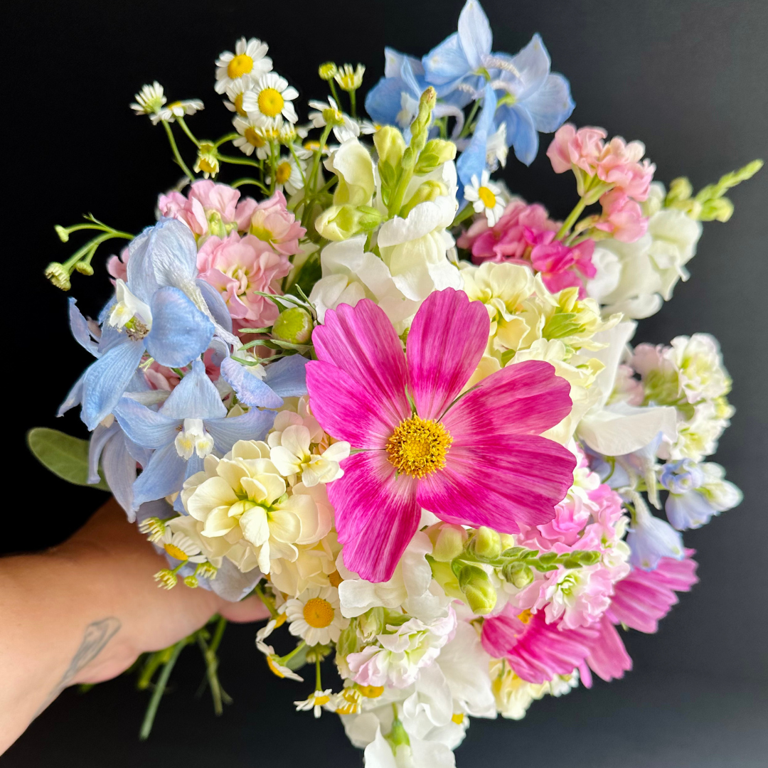 Premium Bunch Of Joy