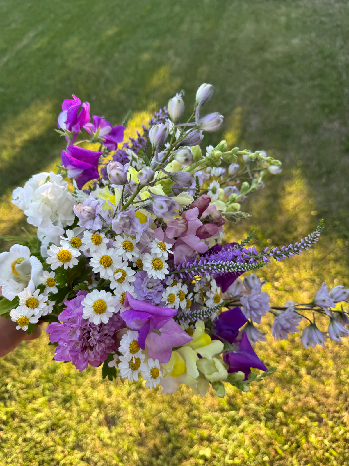 Premium Bunch Of Joy
