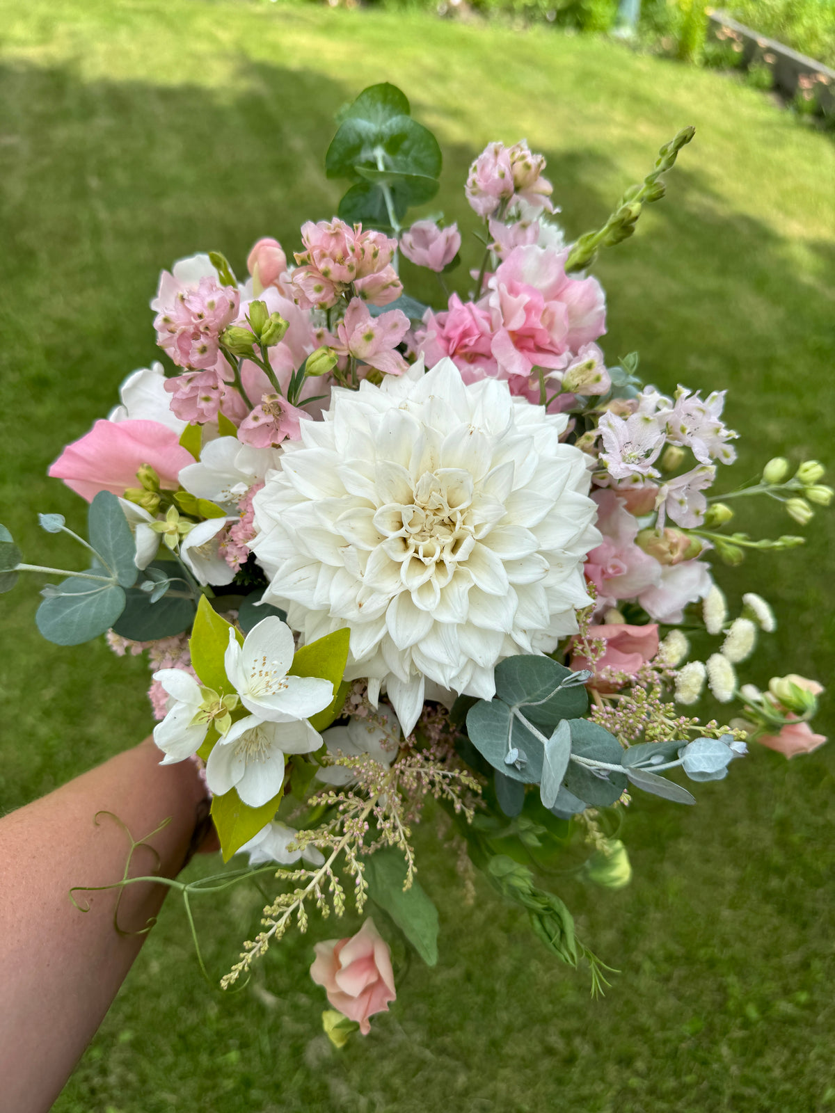 Premium Bunch Of Joy