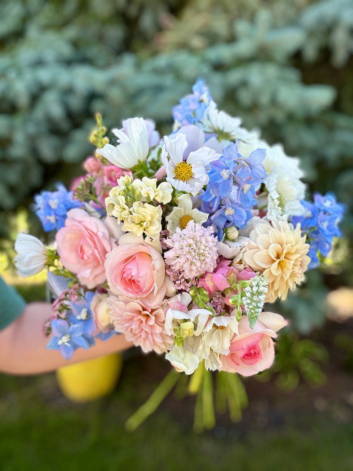 Premium Bunch Of Joy