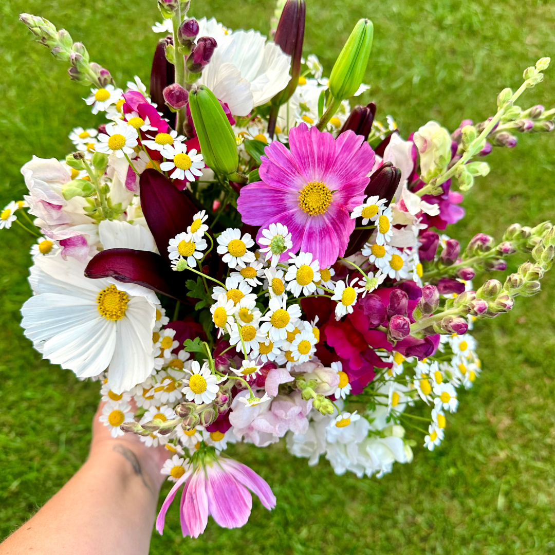 Premium Bunch Of Joy