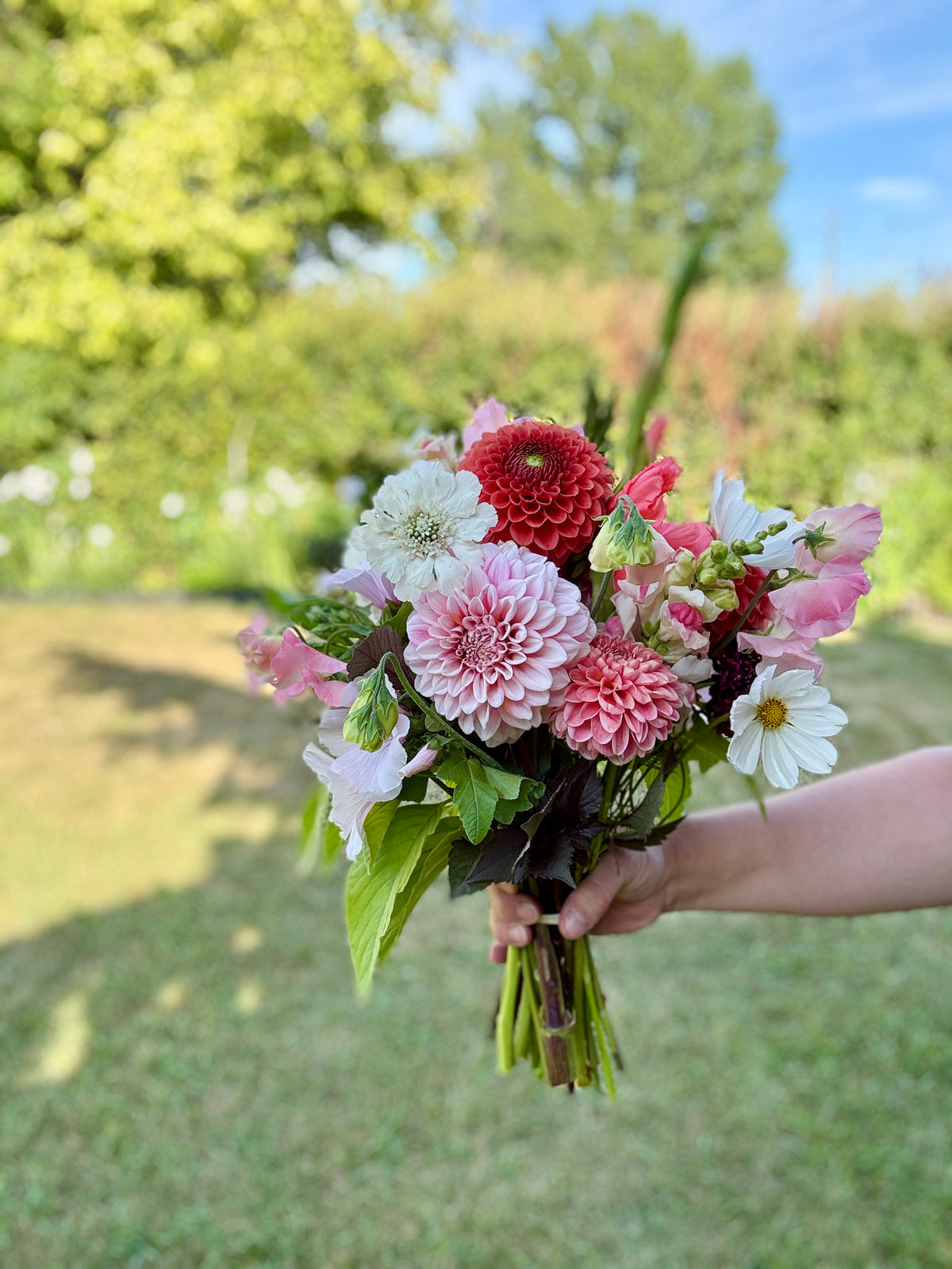 Premium Bunch Of Joy