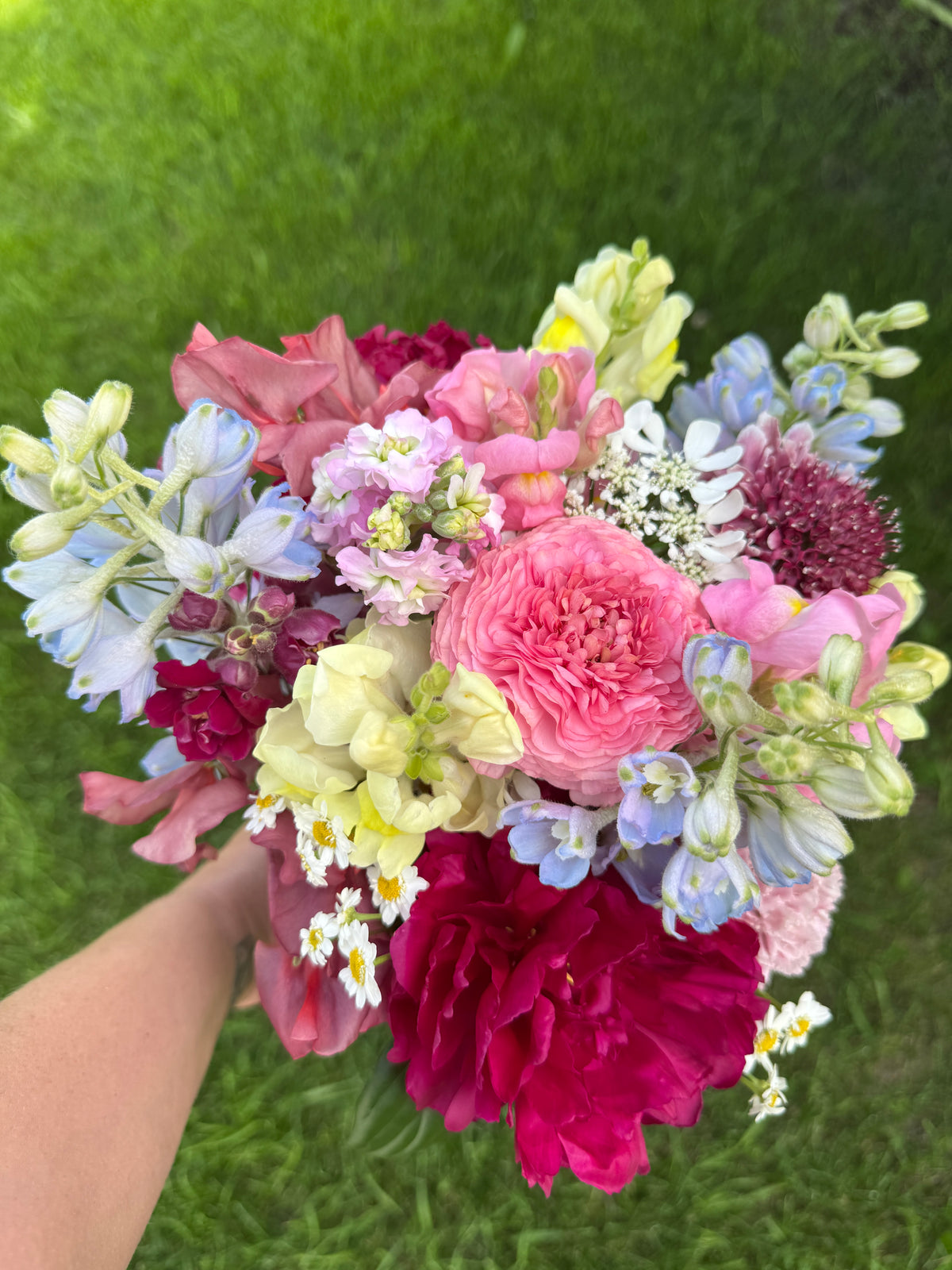 Premium Bunch Of Joy