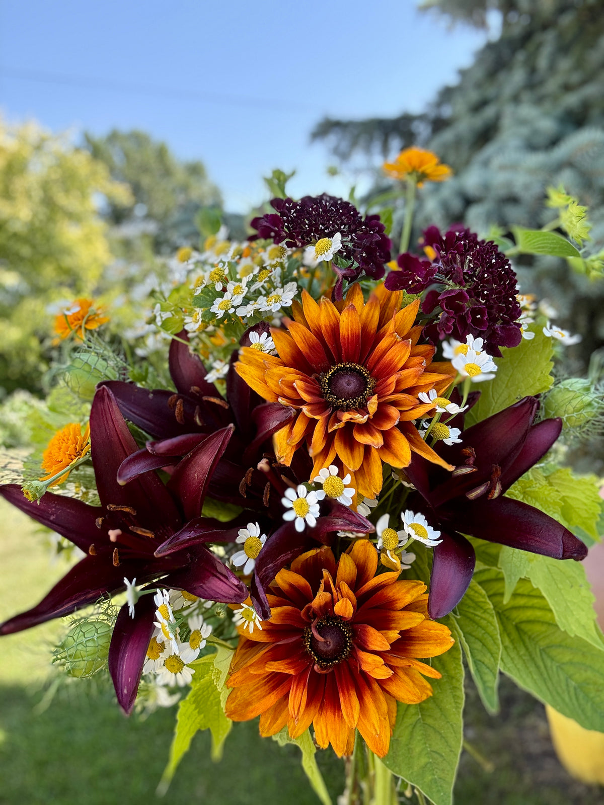 Premium Bunch Of Joy