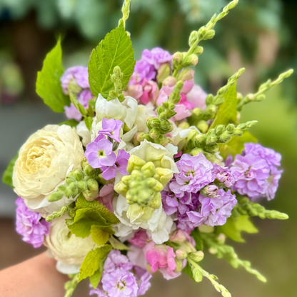 Premium Bunch Of Joy