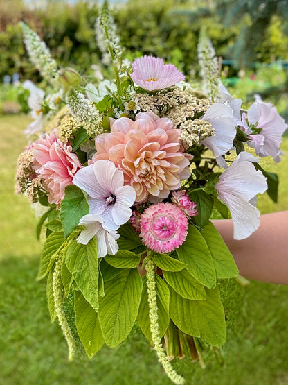 Premium Bunch Of Joy