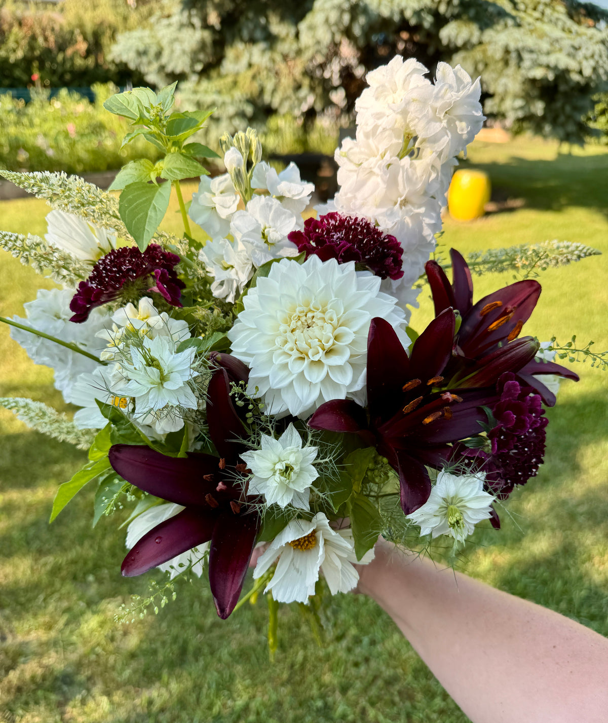 Premium Bunch Of Joy