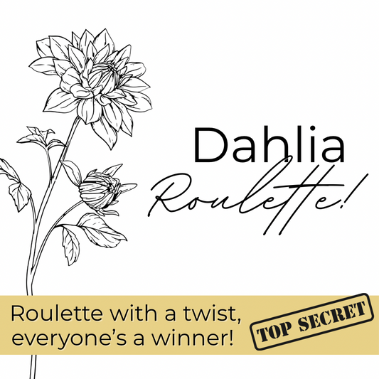 Dahlia Roulette!