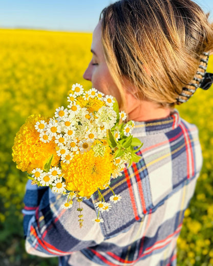 Marigold Mix - Coco Gold & Yellow